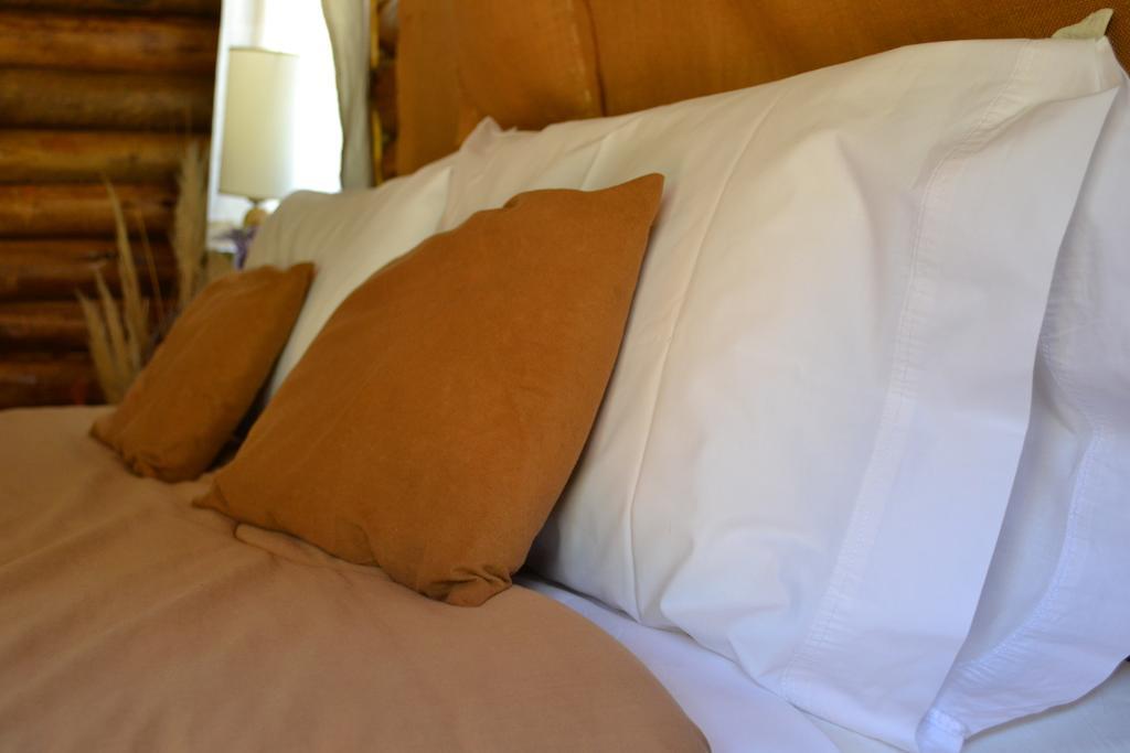 Villa Mendoza Sol Y Nieve Potrerillos Zimmer foto